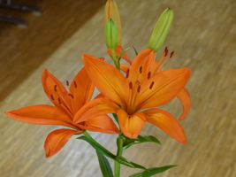 Foto: Dr. Peter Müller